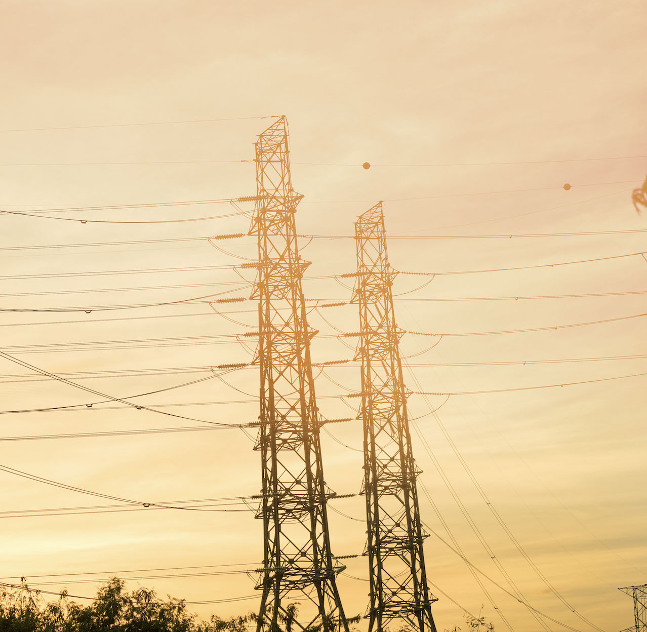 Natural Gas & Electric Company Covid Response